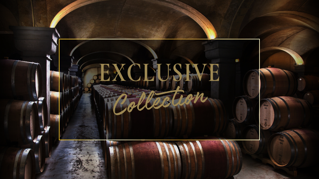 Exclusive Collection Blogbanner