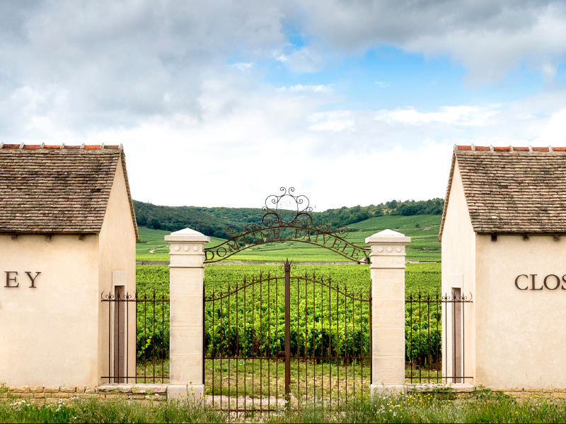 https://www.fdwijnwinkel.nl/media/cache/16x9_thumb/media/image/brand-banner/80-Domaine-Faiveley-blogbanner-z-tekst.jpg