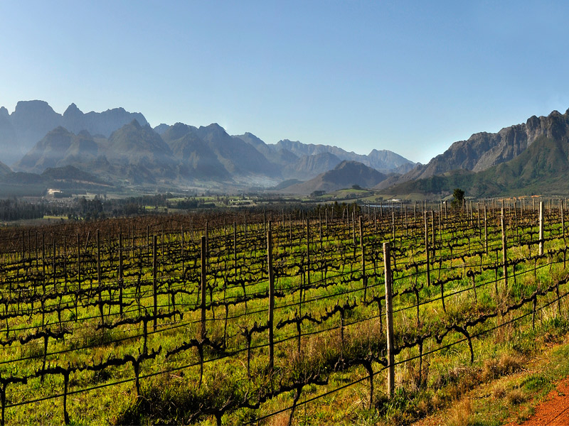 https://www.fdwijnwinkel.nl/media/cache/16x9_thumb/media/image/brand-banner/Boschendal_wijngaarden.jpg