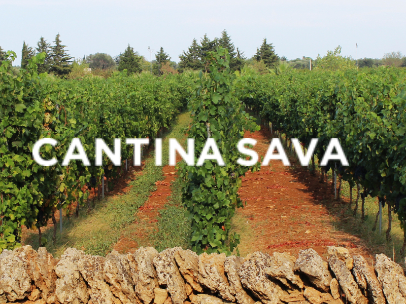 https://www.fdwijnwinkel.nl/media/cache/16x9_thumb/media/image/brand-banner/Cantina_SavA_blogbanner.jpg