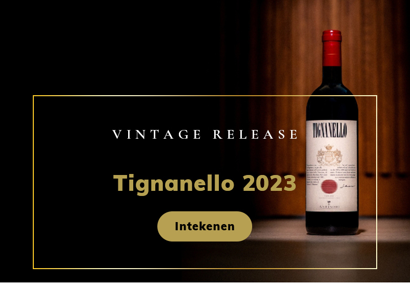 https://www.fdwijnwinkel.nl/media/cache/16x9_thumb/media/image/home-banner/Tignanello%202023_blogbanner.jpg