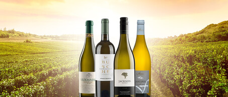 126-chardonnay-versus-sauvignon-blogbanner-z-tekst