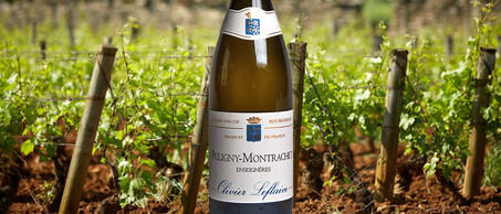 18-Montrachet