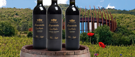 75-Wereldklasse-wijnen-van-Lapostolle