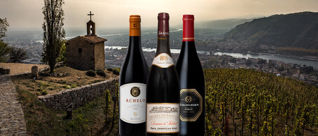 77-Syrah-Shiraz-blogbanner-z-tekst