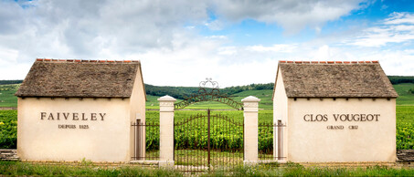 80-Domaine-Faiveley-blogbanner-z-tekst