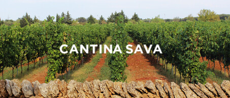 Cantina SavA blogbanner