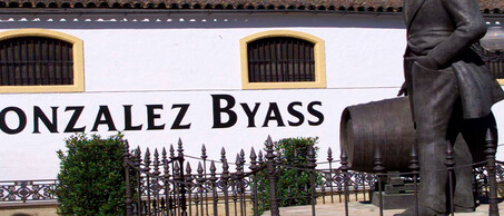 Gonzalez Byass Banner groot 5
