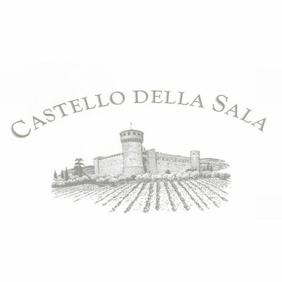 Logo Castello Della Sala