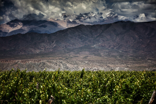 COLOME Stahl 0395 copia