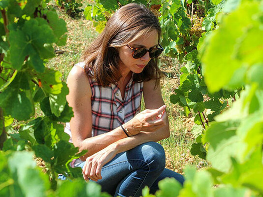 Paul Jaboulet winemaker