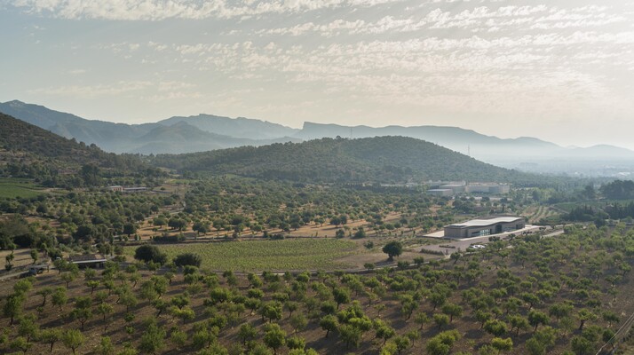 Son Mayol backdrop- middle.jpg