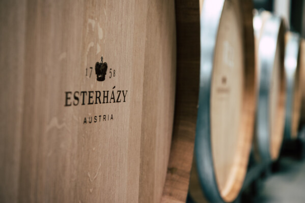 WG_Weinlese2017©ezy.krea_HQ-70.jpg