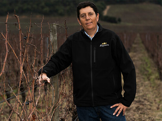 Winemaker_Lapostolle.jpg