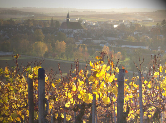 village-chablis.jpg