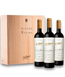 Bodega Colomé Altura Máxima Malbec 2016 3kist-j